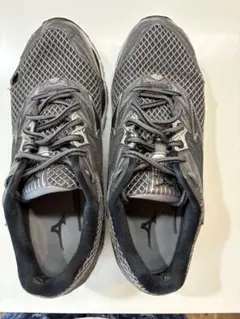 Item thumbnail for item 20d0feee-fb6c-4601-a668-4ba413e1fef1