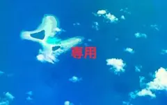 ayaaa様専用全国統一小学生テスト2年生4年生