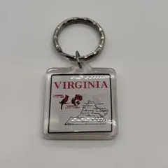 90s　ヴィンテージ　VIRGINIA　ハナミズキ　鳥　スーベニアキーホルダーのサムネイル