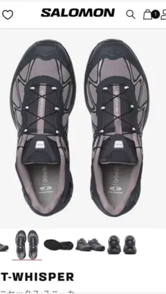 サロモン　Salomon XT-WHISPER 25センチのサムネイル