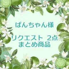 ぱんちゃん様 リクエスト 2点 まとめ商品