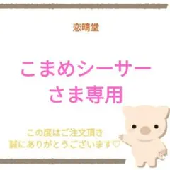 こまめシーサーさま専用