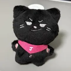 2026年最新】enhypen ジェイ ぬいぐるみ マスターの人気アイテム