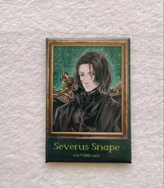 2026年最新】スネイプ 缶バッジの人気アイテム - メルカリ