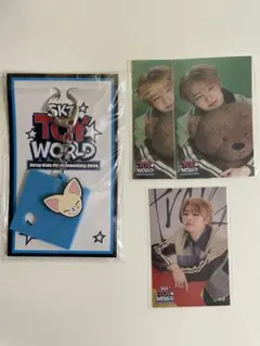 straykids アイエン　スキズ　SKZTOYWORLD キーホルダー