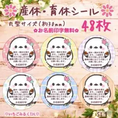 SI1 産休・育休シール 花髪飾りシマエナガちゃんシングル 丸型 48枚セット