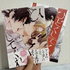 ひどくしてくれ 水谷倖 アニメイト特典小冊子付き