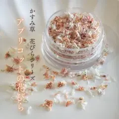 かすみ草　アプリコット　花びら　フレーク　花びらフレーク　レジン　ドライフラワー