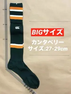 《カンタベリー/27-29cm》ラグビーソックス_381