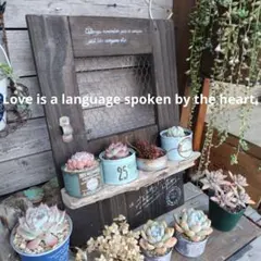 好きッスロック様 リクエスト 4点 まとめ商品