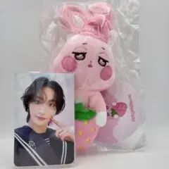 2025年最新】ateez ソンファ ぬいぐるみの人気アイテム - メルカリ