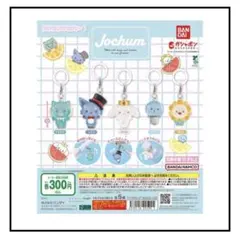 JOCHUM めじるしアクセサリー 1・2 コンプリートセット