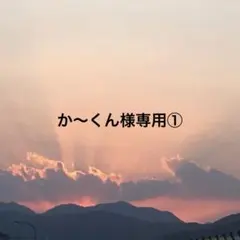 か〜くん様専用①