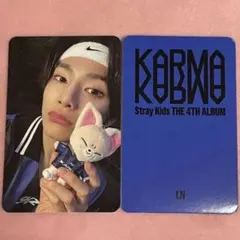 stray kids スキズ　KARMA SKZOO トレカ　アイエン　封入
