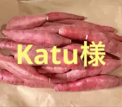 Katu様　専用　M洗いあり