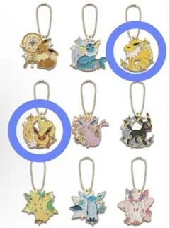 ポケモン イーブイ一番くじ H賞 ランダムメタルチャーム