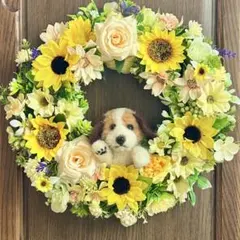 1点もの】花と果物のビタミンカラーリース ダッフィー＆シェリーメイ