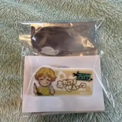 鬼滅の刃 きめつ食堂 ランダムネームプレート風バッジ 我妻善逸