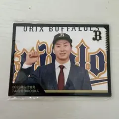 オリックス・バファローズ 廣岡大志 フォトカード