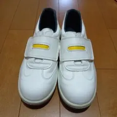 Item thumbnail for item e1f2e929-9493-40ff-bd8c-b286dbfb88ee