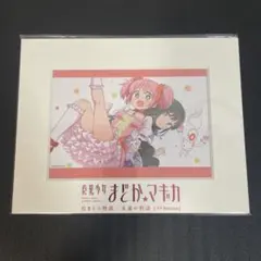 魔法少女まどか⭐︎マギカ まどマギ TV Edition 卓上キャラファイン