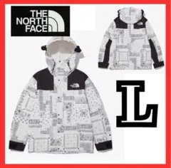 韓国限定　ノースフェイス　ゴアテックス　マウンテンジャケット　スノーホワイト　L