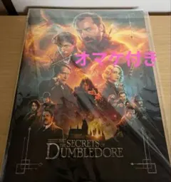 2025年最新】ダンブルドアの秘密の人気アイテム - メルカリ