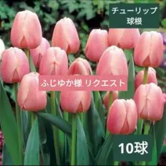 ふじゆか様 リクエスト 4点 まとめ商品