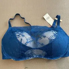 新品未使用　トリンプ　ブラジャーまとめ売り　青いレースブラジャー D75