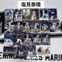 東京ヤクルトスワローズ swallows 塩見泰隆 プロ野球チップス BBM