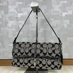 Coach Signature Demi Clip Pouch Bag