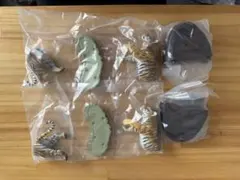 いきもの大図鑑　ネコ科動物