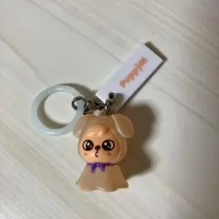 SKZOO めじるし パピーム　スキズ　スンミン