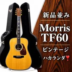 2026年最新】ジャパンビンテージエレキギターの人気アイテム - メルカリ