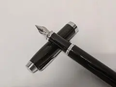 カスタム】パイロット カスタムヘリテイジ91 M(中字)→小太刀風研