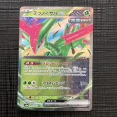 デツノイハEX RR 220HP