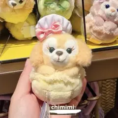 香港ディズニー クッキーアン カメラストラップ - メルカリ