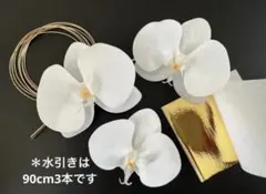 Item thumbnail for item d8d85d52-8de2-47d1-bbc4-424965aff729