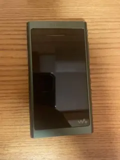 SONY WALKMAN ウォークマン Walkman NW-A55 16GB