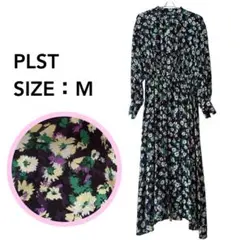 Item thumbnail for item c756739e-e653-48f4-91e4-e870e6bb8cf4