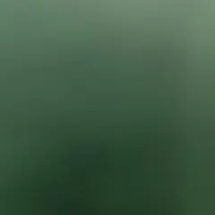 まる様 専用出品