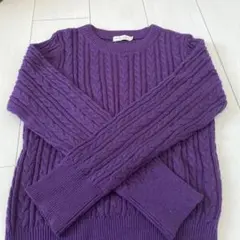 earth music&ecology パープルニットセーター Mサイズ