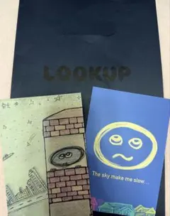INI 田島将吾 LOOKUP ポストカード 2枚+袋