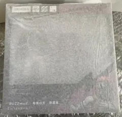 新品未開封 ANIPLEX BUZZmod. 鬼滅の刃 猗窩座 1/12スケール