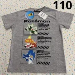 ㊷110、新品☆ポケモン、ニャローテ、アチゲータ、ウェルカモ☆半袖Tシャツ