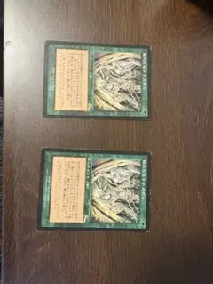 マジック：ザ・ギャザリング 隠れたるテナガザル 2枚セット