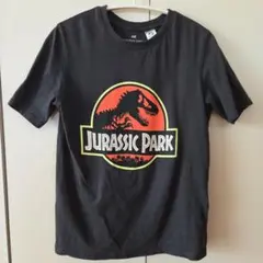 H&M ジュラシックパーク Tシャツ 130 140