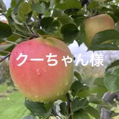 クーちゃん様専用ページ✨