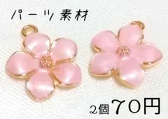 Item thumbnail for item 758054ab-21a3-4b44-ac5e-5582e4c0c206