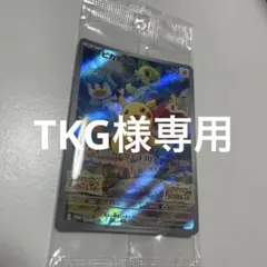 TKG様専用ピカチュウ：パッケージ版『ポケットモンスター スカーレット』